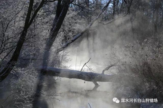 了解先后与刘诗诗、刘涛这样的大咖合作,刘宇宁要爆火了吗?知识星球,打开智慧之门